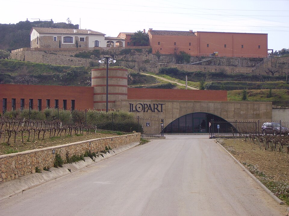 Llopart